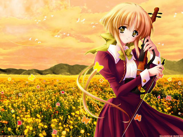 Woman field violin blonde autumn free wallpaper for desktop - medium preview image