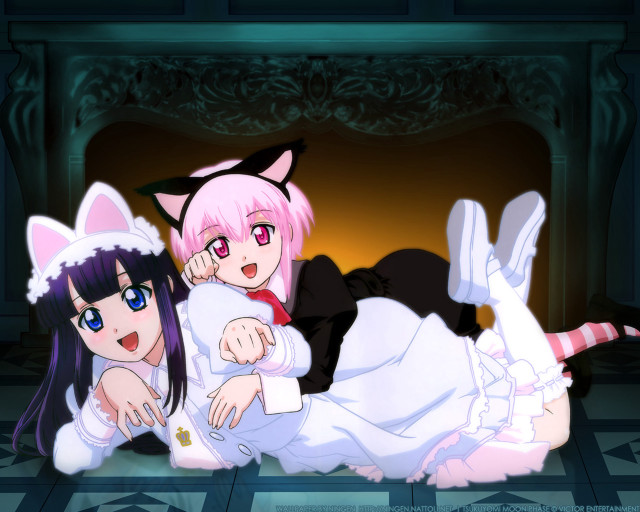 Two anime girls fireplace cat free wallpaper for desktop - medium preview image