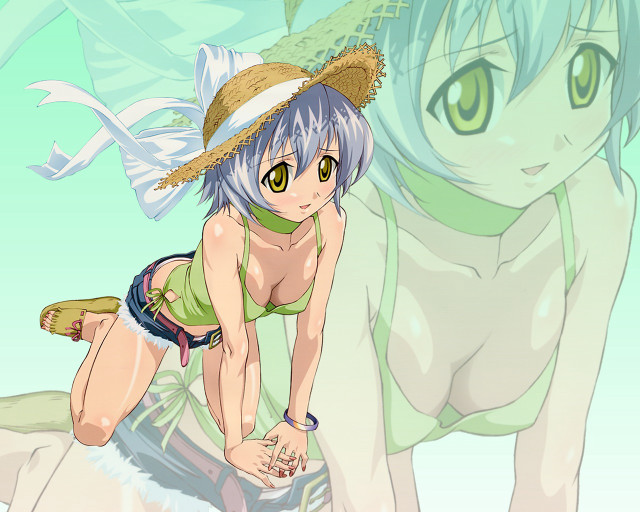 Girl bikini surfboard cat dog free wallpaper for desktop - medium preview image