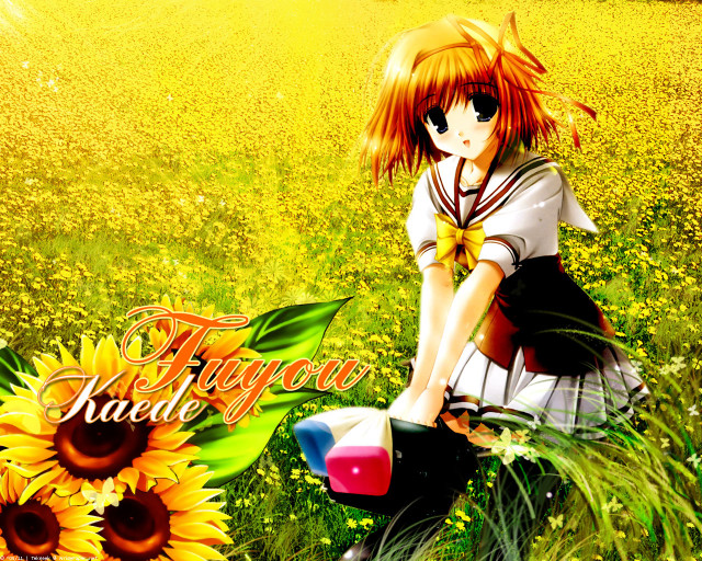 Girl bike sunflowers tokyo album free wallpaper for desktop - medium preview image