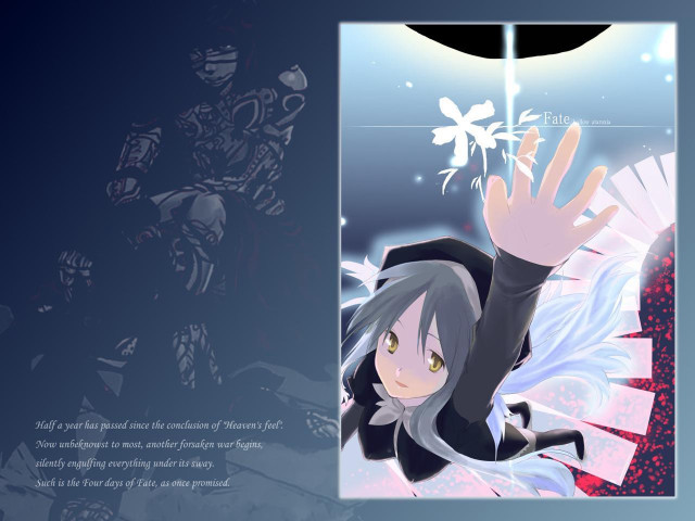 Girl blackjacket white tail flying free wallpaper for desktop - medium preview image