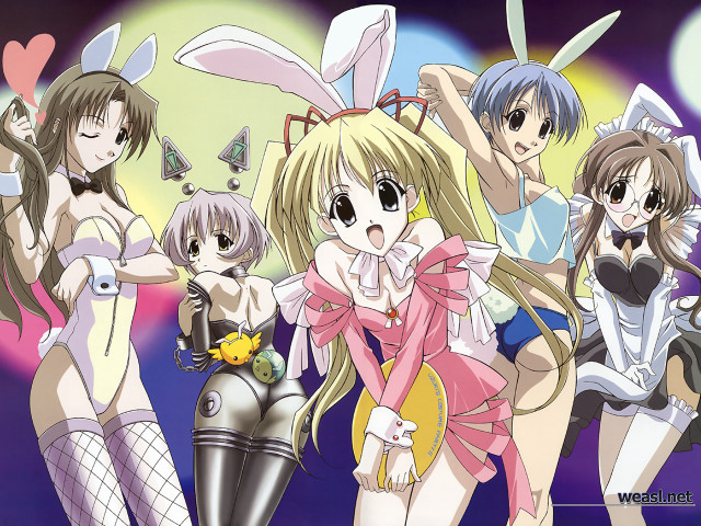Anime bunny girls leotard moon free wallpaper for desktop - medium preview image