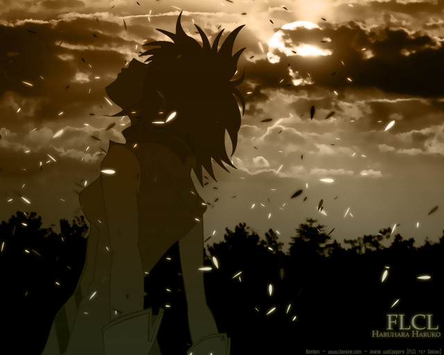 Silhouette sunset birds feathers clouds free wallpaper for desktop - medium preview image