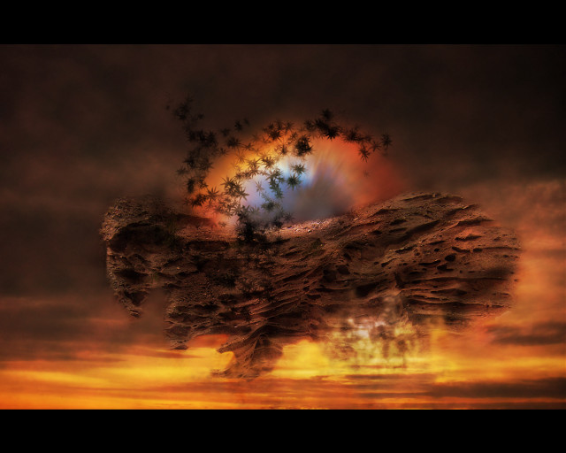 Tree field sunset autumn fire free wallpaper for desktop - medium preview image