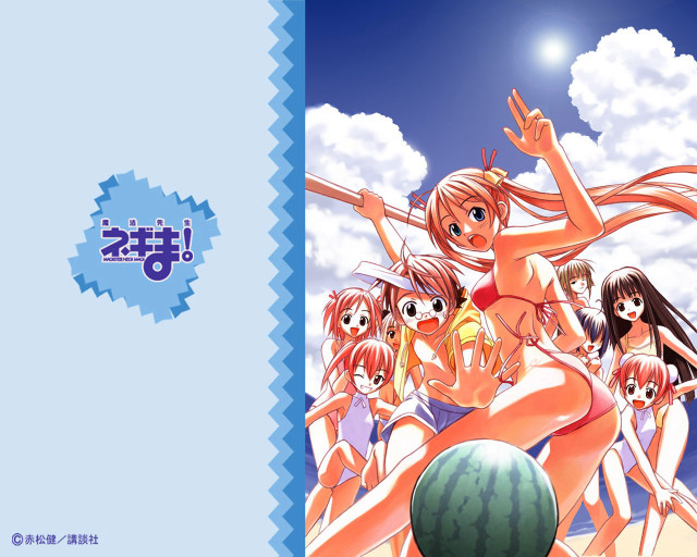 Beachwatermelon girls bikinis sky sun free wallpaper for desktop - medium preview image