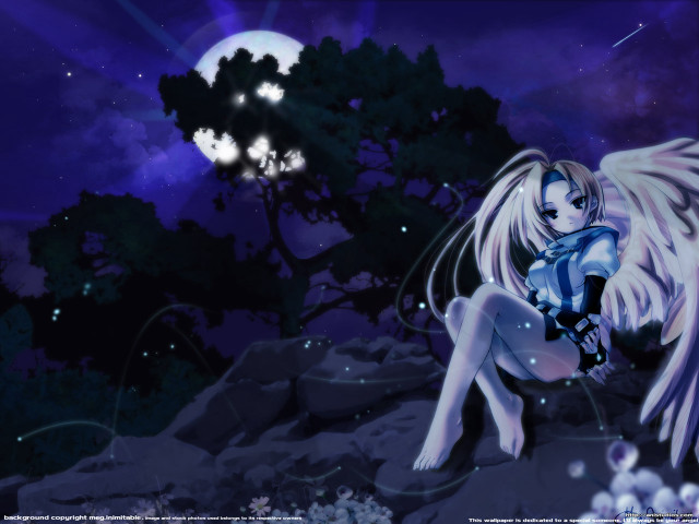 Girl wings night moon aurora free wallpaper for desktop - medium preview image