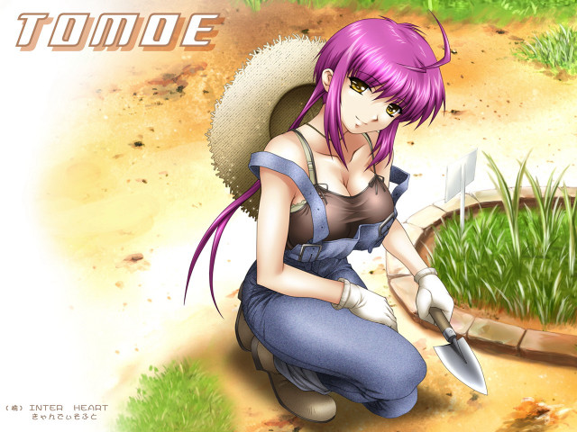 Woman kneeling knife grass beach free wallpaper for desktop - medium preview image