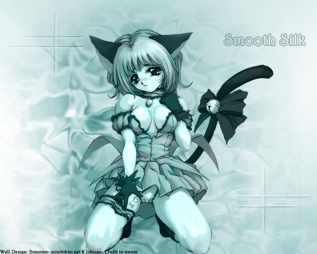 Cat sword girl blue background free wallpaper for desktop - medium preview image