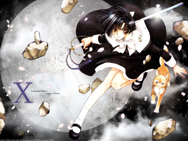 Anime girl flying sword cat free wallpaper for desktop - medium preview image