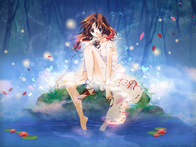 Girl butterfly flower woods anime free wallpaper for desktop - medium preview image
