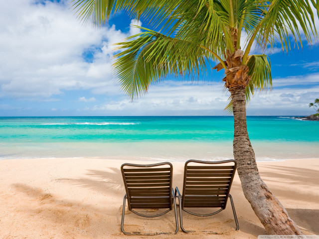Beach chairs palm tree ocean #5 free wallpaper for desktop - medium preview image