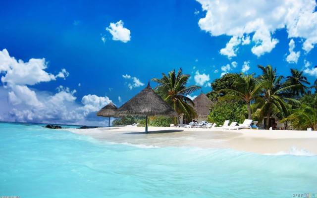 Beach palm trees lounge chairs free wallpaper for desktop - medium preview image