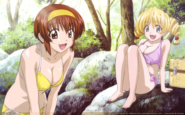 Two women bikinis rocks forest free wallpaper for desktop - medium preview image