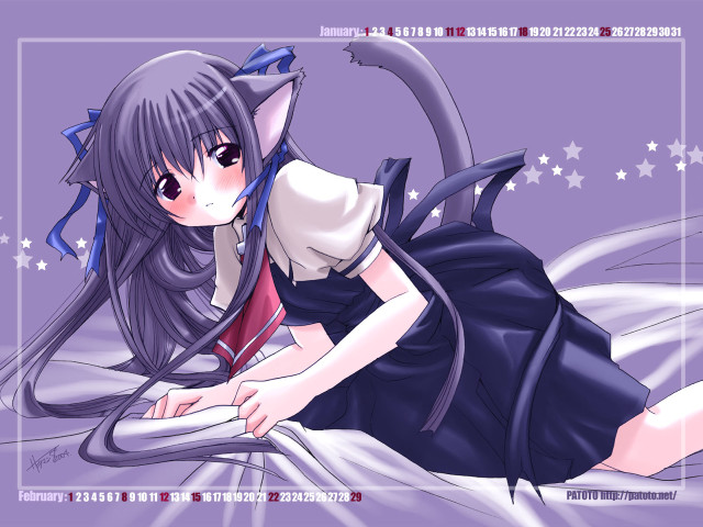 Anime girl bed cat stars free wallpaper for desktop - medium preview image