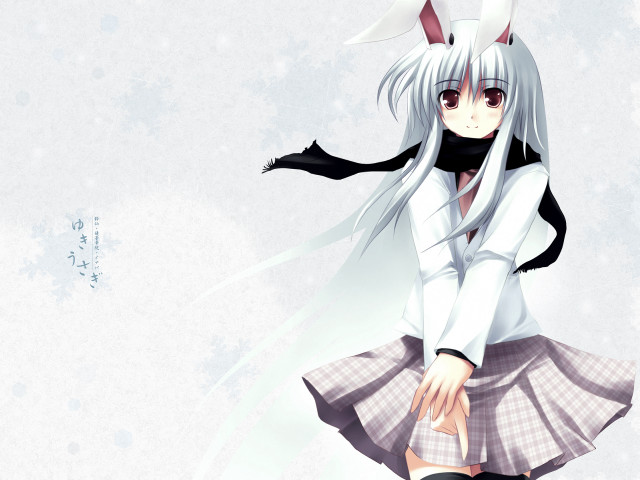 Girl cat ears anime scarf free wallpaper for desktop - medium preview image