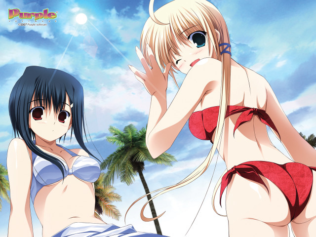 Beach anime girls bikinis palm free wallpaper for desktop - medium preview image