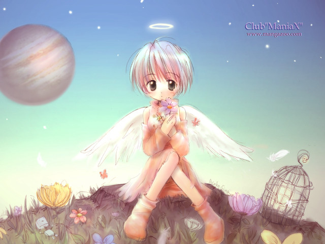 Girl bird rock angel wings free wallpaper for desktop - medium preview image