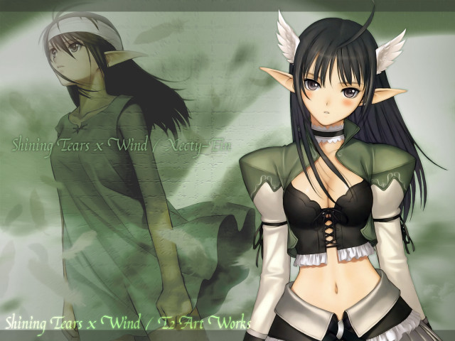 Fantasy elf girls green outfits free wallpaper for desktop - medium preview image