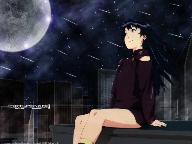 City skyline fullmoon starry night #2 free wallpaper for desktop - medium preview image