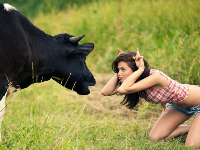 Woman kneeling cow field grass #3 free wallpaper for desktop - medium preview image