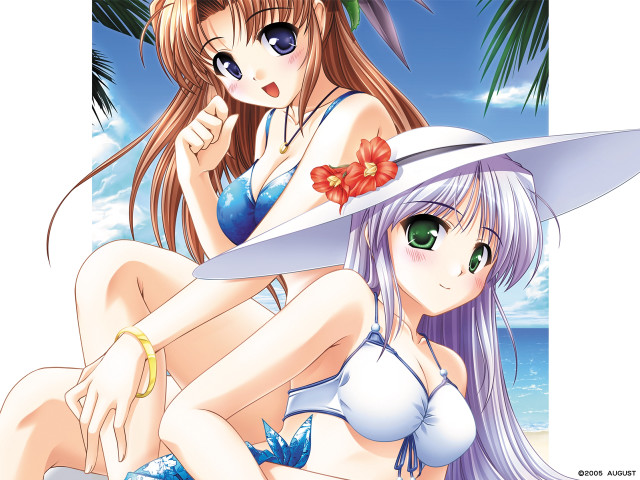 Anime girls beach hibiscus sunny free wallpaper for desktop - medium preview image