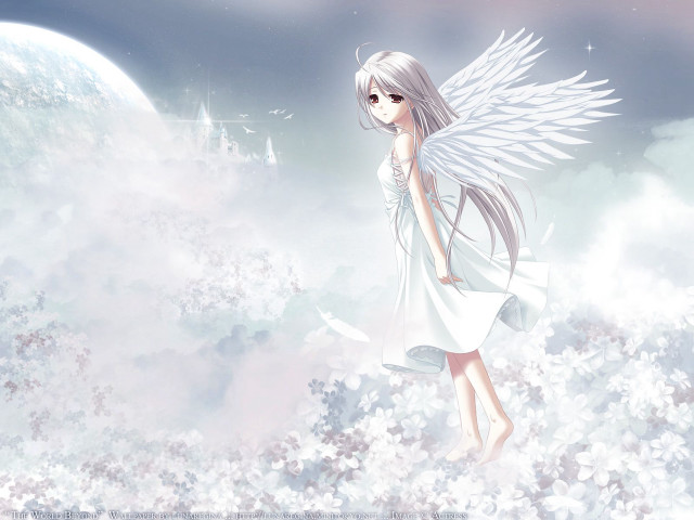 Angelic girl white wings moon free wallpaper for desktop - medium preview image