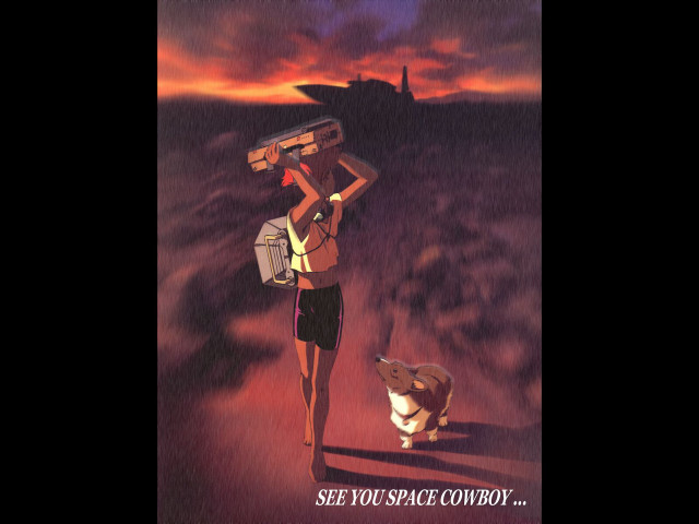 Woman dog dirtroad sunset orange free wallpaper for desktop - medium preview image