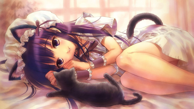 Gothic anime girl bed cat free wallpaper for desktop - medium preview image