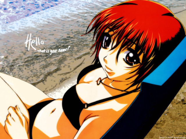 Eizan kikukawa beach girl bikini free wallpaper for desktop - medium preview image