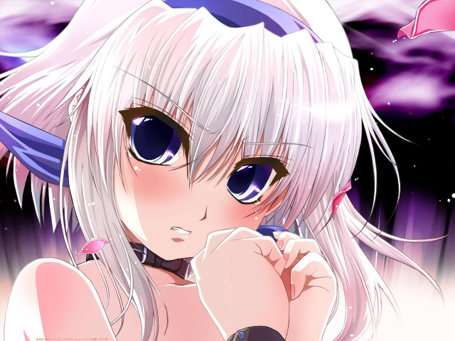 White haired girl blue eyes free wallpaper for desktop - medium preview image