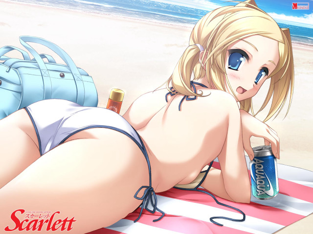Beach blonde woman soda purse free wallpaper for desktop - medium preview image