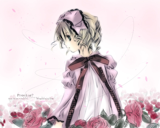 Girl dress roses bow field free wallpaper for desktop - medium preview image