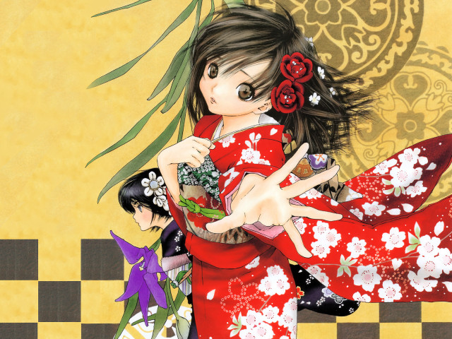 Woman kimono flower vase argyle free wallpaper for desktop - medium preview image