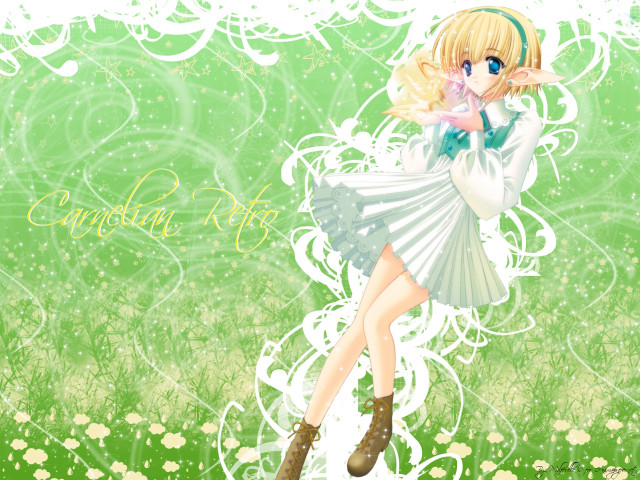 Girl dress boots flower field free wallpaper for desktop - medium preview image