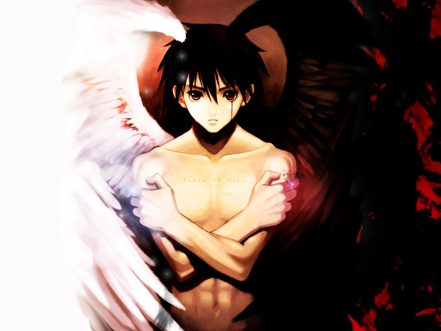 Angel wings blood anime gothic free wallpaper for desktop - medium preview image