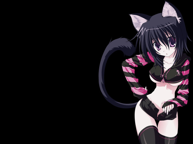 Gothic anime catwoman kemonomimi artist free wallpaper for desktop - medium preview image