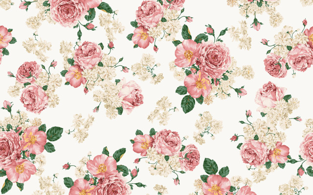 White background pink flowers green free wallpaper for desktop - medium preview image