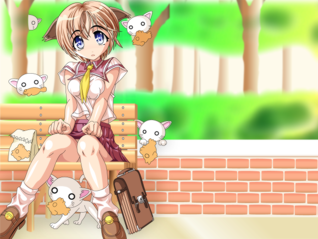 Anime cat bench suitcase animals free wallpaper for desktop - medium preview image