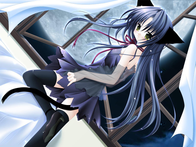Moonlit gothic anime catgirl window free wallpaper for desktop - medium preview image