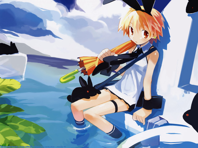 Anime girl bunny ledge water free wallpaper for desktop - medium preview image
