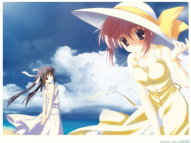 Girl dresses beach cloudy sky free wallpaper for desktop - medium preview image