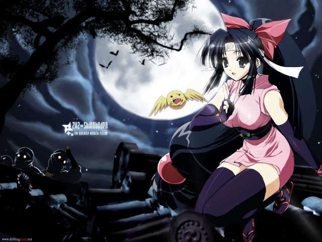 Pink kimono woman fullmoon bats free wallpaper for desktop - medium preview image