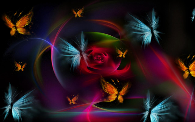 Colorful butterflies rose mystical wings free wallpaper for desktop - medium preview image