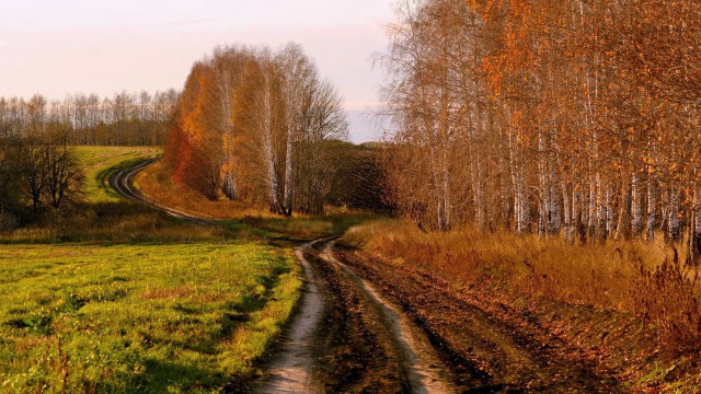 Dirt road autumn field trees free wallpaper for desktop - medium preview image