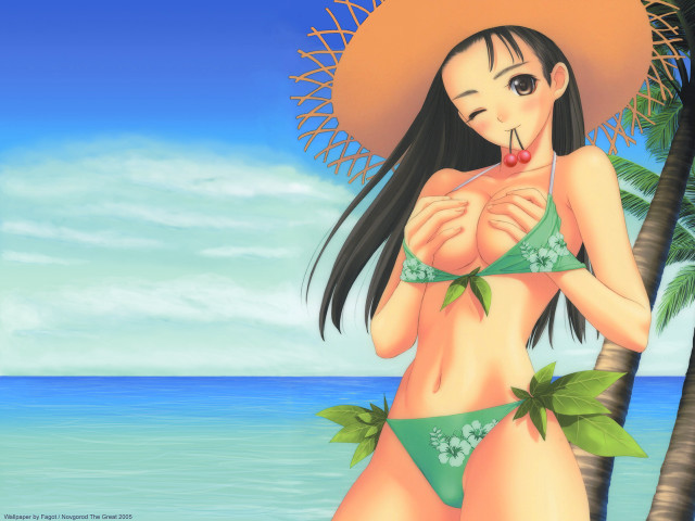 Beach bikini hat palm ocean free wallpaper for desktop - medium preview image