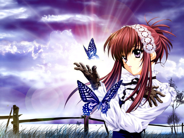 Girl butterfly field sky anime free wallpaper for desktop - medium preview image