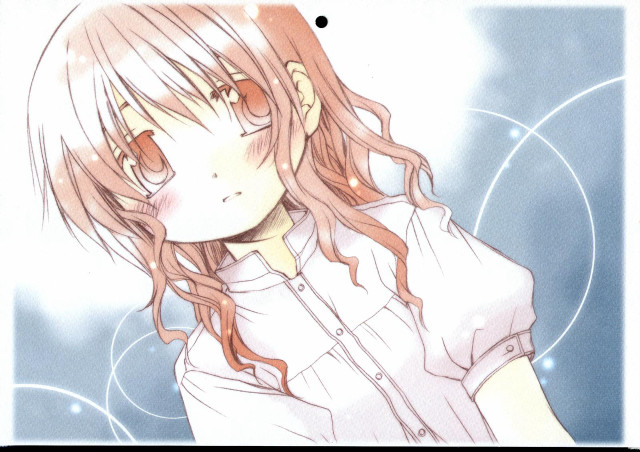 Alice prin blush longhair white free wallpaper for desktop - medium preview image