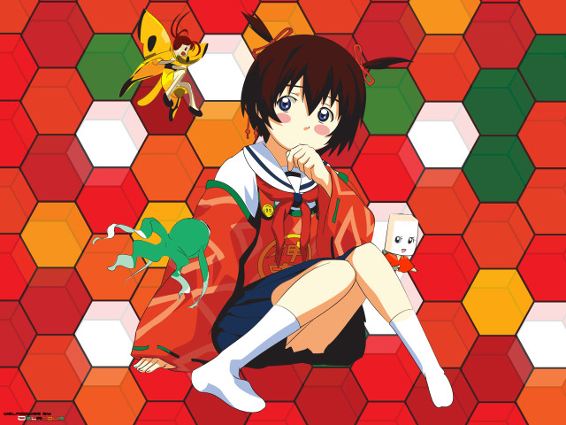 Girl cat dog floor portrait free wallpaper for desktop - medium preview image