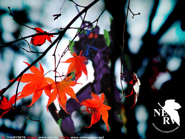 Red leaves purple dragon autumn free wallpaper for desktop - medium preview image
