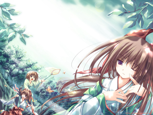 Girl forest magic anime bamboo free wallpaper for desktop - medium preview image